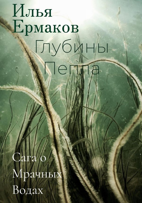 Обложка книги «Сага о Мрачных Водах. Глубины Пепла»