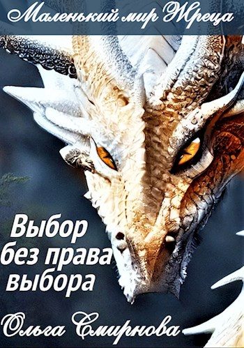 Обложка книги «Выбор без права выбора»