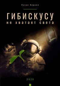 Обложка книги «Гибискусу не хватает света»
