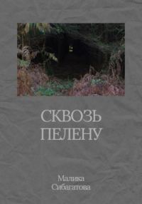 Обложка книги «Сквозь пелену»