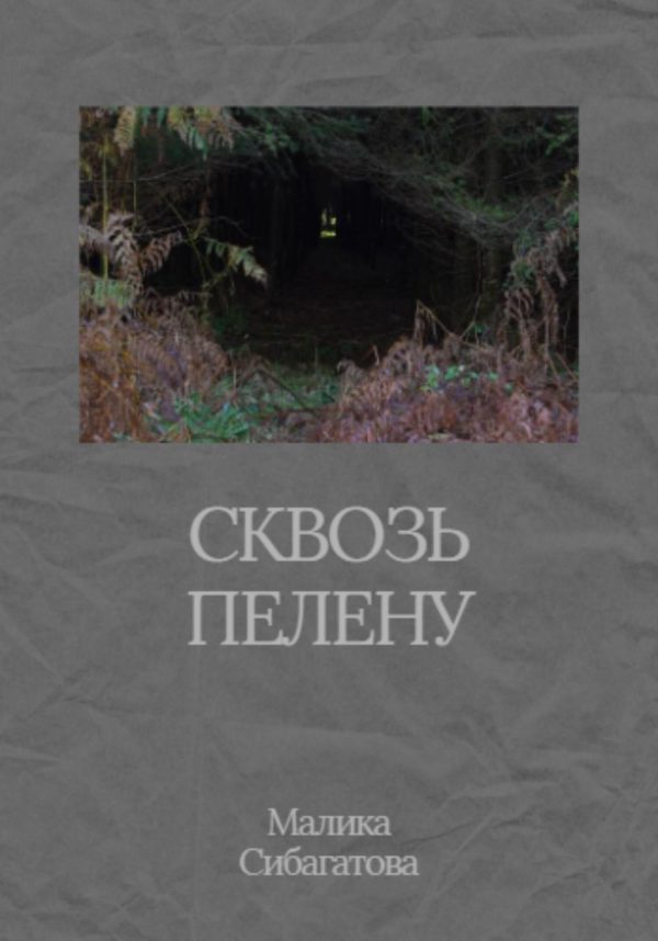Обложка книги «Сквозь пелену»