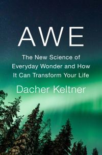 Обложка книги «Awe»