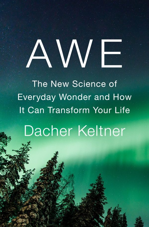 Обложка книги «Awe»
