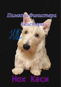 Обложка книги «Память Финистера Твистера»