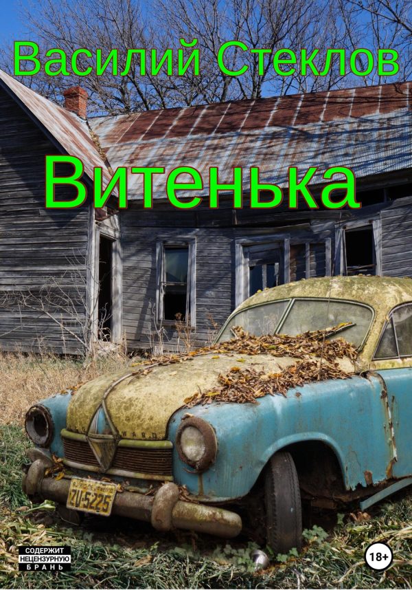 Обложка книги «Витенька»