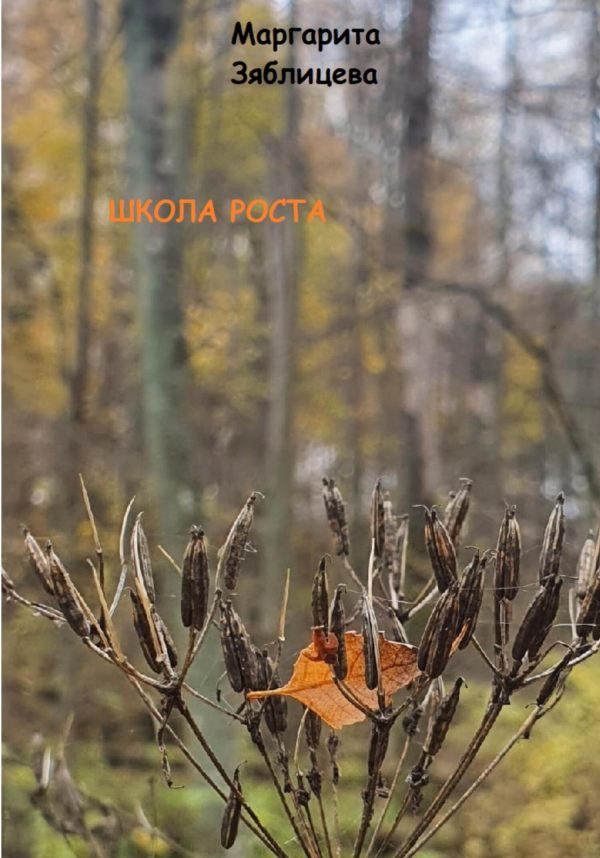 Обложка книги «Школа роста»