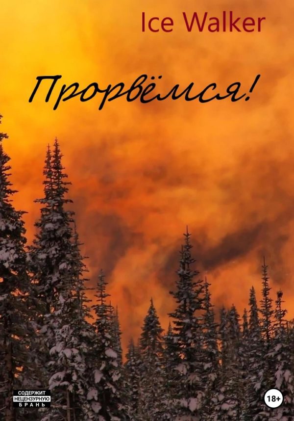 Обложка книги «Прорвёмся!»