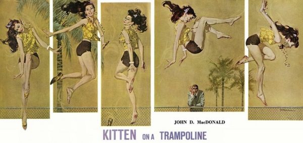 Обложка книги «Kitten on a Trampoline»