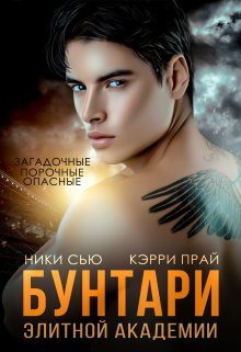 Обложка книги «Бунтари элитной академии»