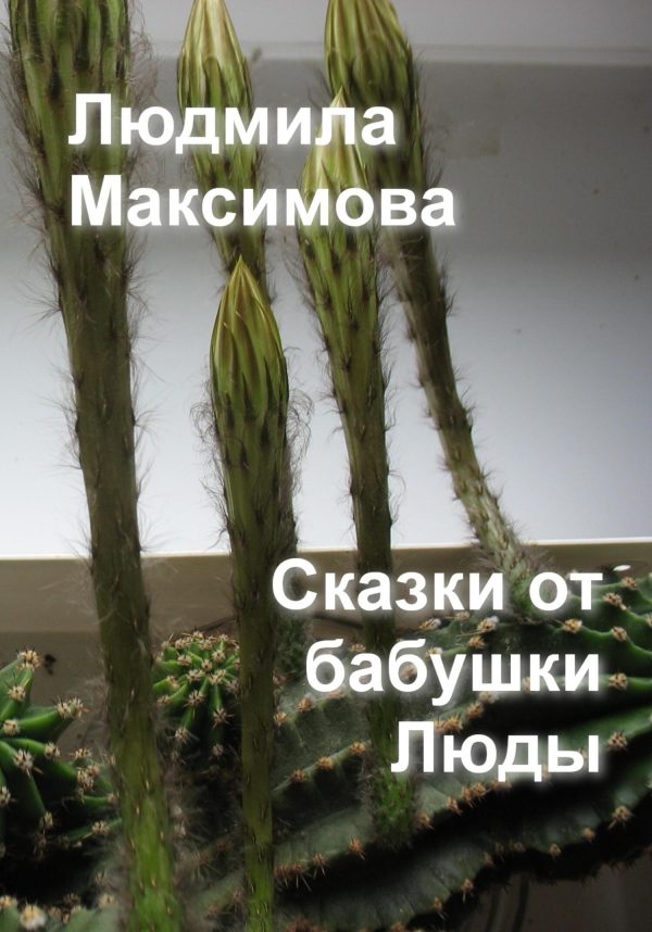 Обложка книги «Сказки от бабушки Люды»