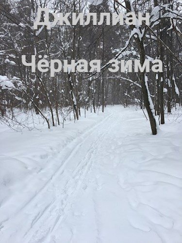Обложка книги «Чёрная зима»