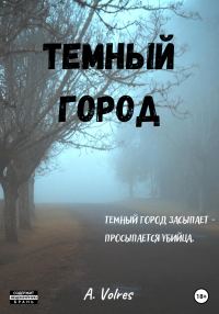 Обложка книги «Темный город»