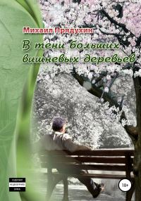 Обложка книги «В тени больших вишневых деревьев»
