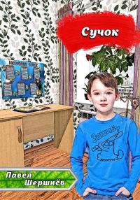 Обложка книги «Сучок»