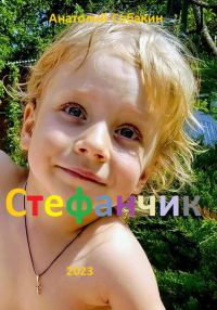 Обложка книги «Стефанчик»