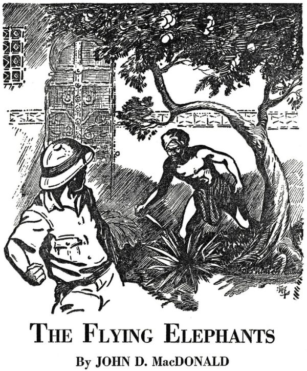 Обложка книги «The Flying Elephants»