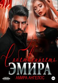Обложка книги «Собственность Эмира»