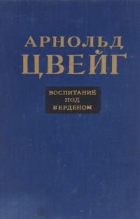 Обложка книги «Воспитание под Верденом»