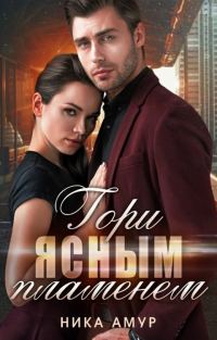 Обложка книги «Гори ясным пламенем»