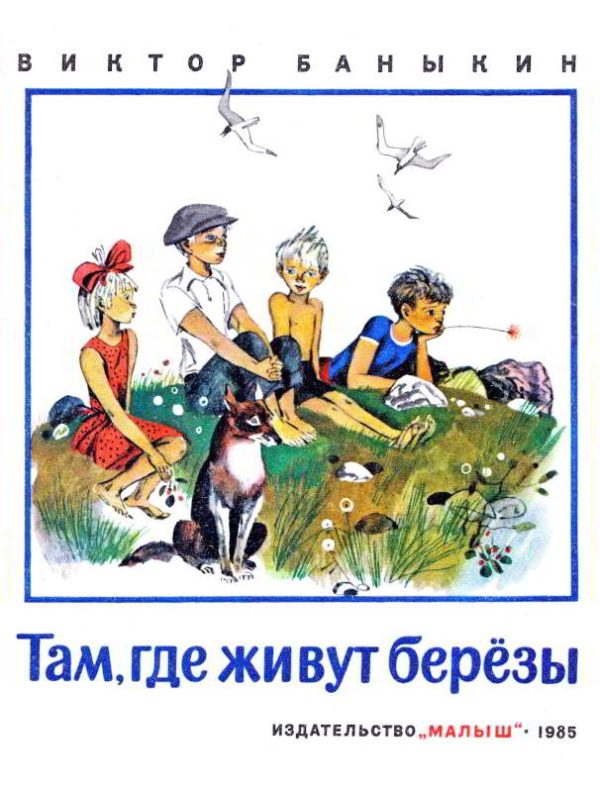 Обложка книги «Там, где живут березы»