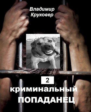 Обложка книги «Криминальный попаданец 2»