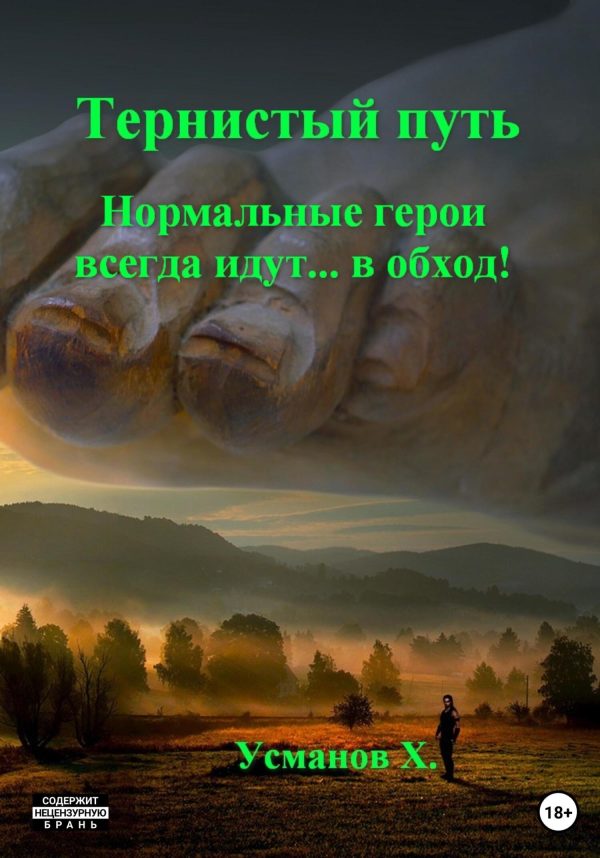 Обложка книги «Нормальные герои всегда идут… в обход!»
