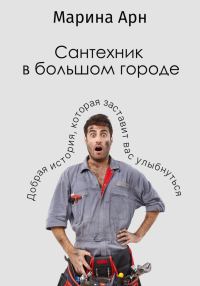Обложка книги «Сантехник в большом городе»