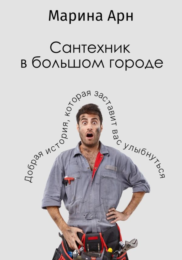 Обложка книги «Сантехник в большом городе»