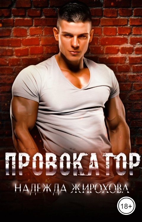 Обложка книги «Провокатор»