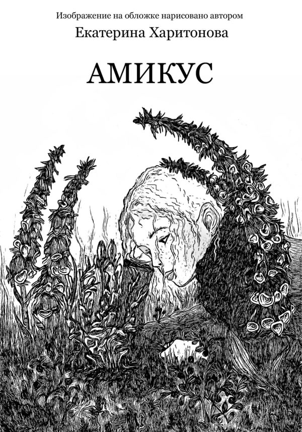 Обложка книги «Амикус»