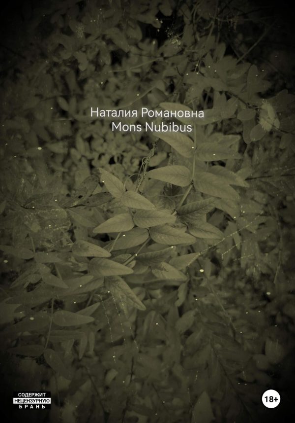 Обложка книги «Mons Nubibus»