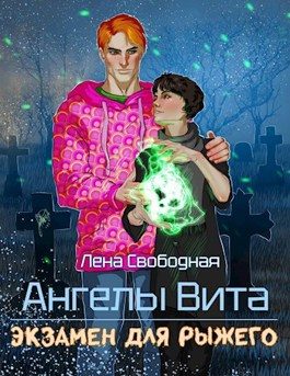 Обложка книги «Экзамен для рыжего»