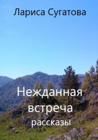 Обложка книги «Нежданная встреча»