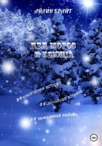 Обложка книги «Дед Мороз и Ксюша»