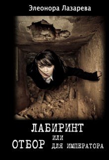 Обложка книги «Лабиринт или отбор для Императора»