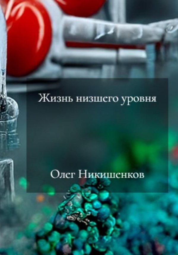 Обложка книги «Жизнь низшего уровня»