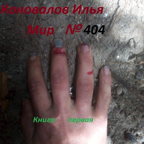 Обложка книги «Мир № 404»