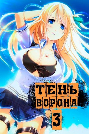 Обложка книги «Тень Ворона 3»