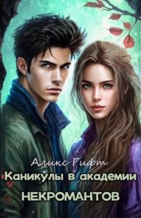 Обложка книги «Каникулы в академии некромантов»