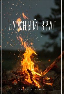 Обложка книги «Нужный враг»