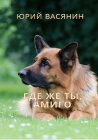 Обложка книги «Где же ты, Амиго?»