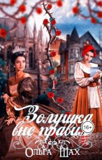 Обложка книги «Золушка вне правил»
