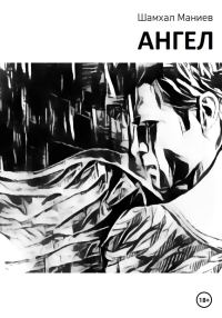 Обложка книги «Ангел»