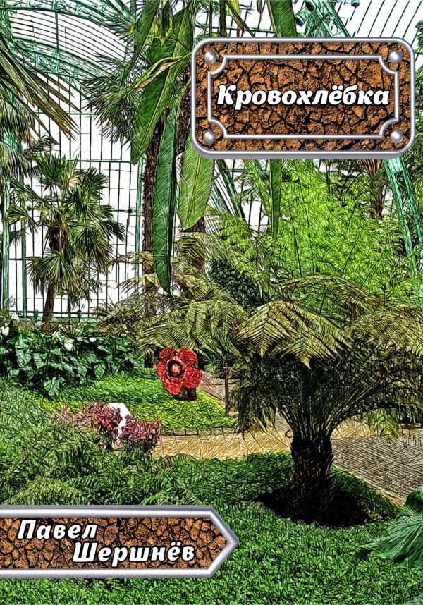 Обложка книги «Кровохлёбка»