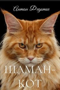 Обложка книги «Шаман-Кот»