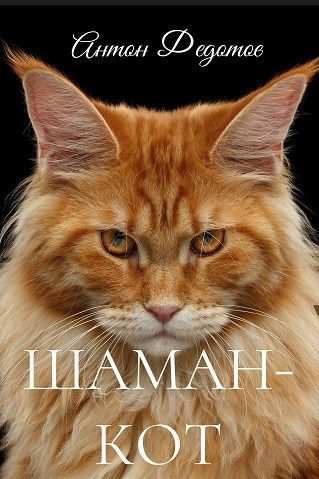 Обложка книги «Шаман-Кот»