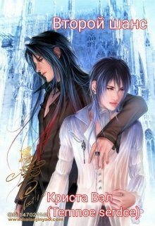 Обложка книги «Второй шанс»