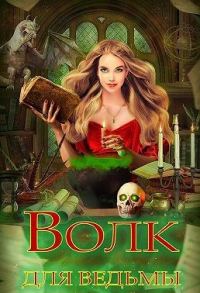 Обложка книги «Волк для ведьмы»