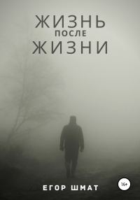 Обложка книги «Жизнь после Жизни»