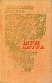 Обложка книги «Шум ветра»